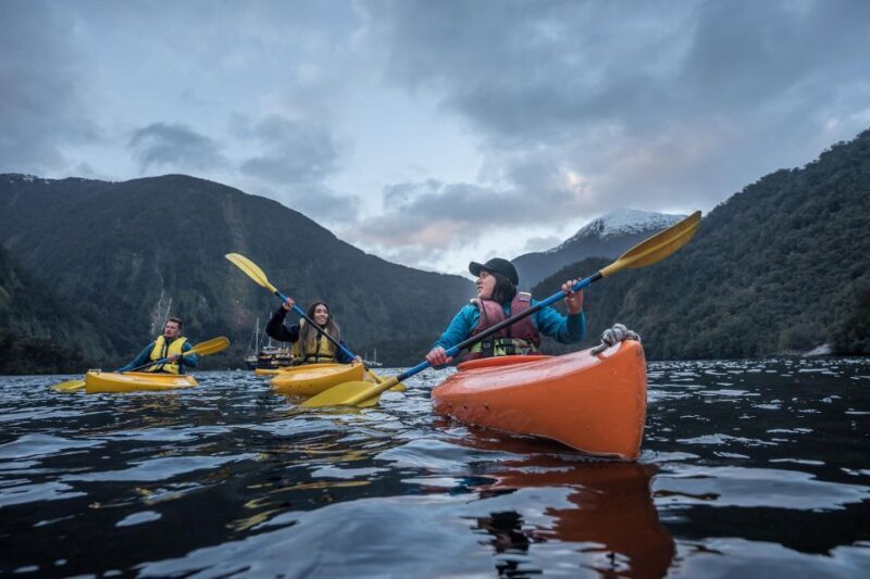 From Manapouri: Doubtful Sound Overnight Cruise - Who Should Consider This Tour?