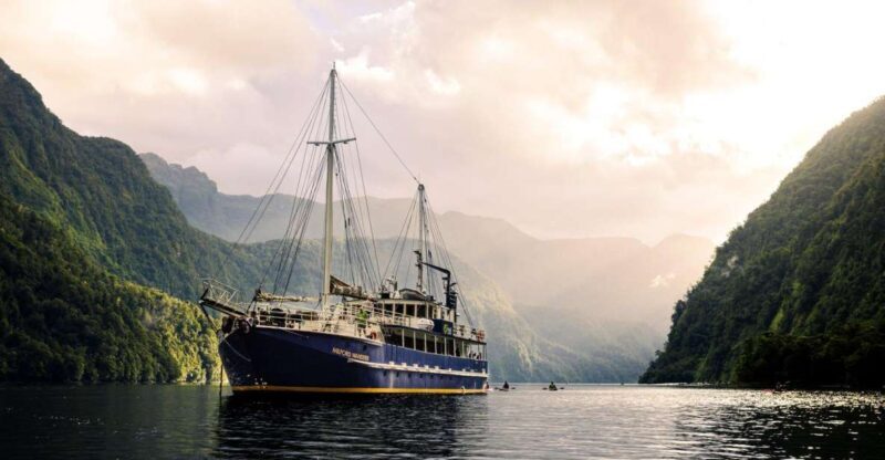 From Manapouri: Doubtful Sound Overnight Cruise - Value and Final Thoughts