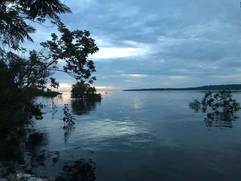 From Manaus: One-Day Amazon Jungle Experience - Key Points