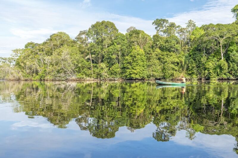 From Manaus: One-Day Amazon Jungle Experience - Is This Tour Right for You?