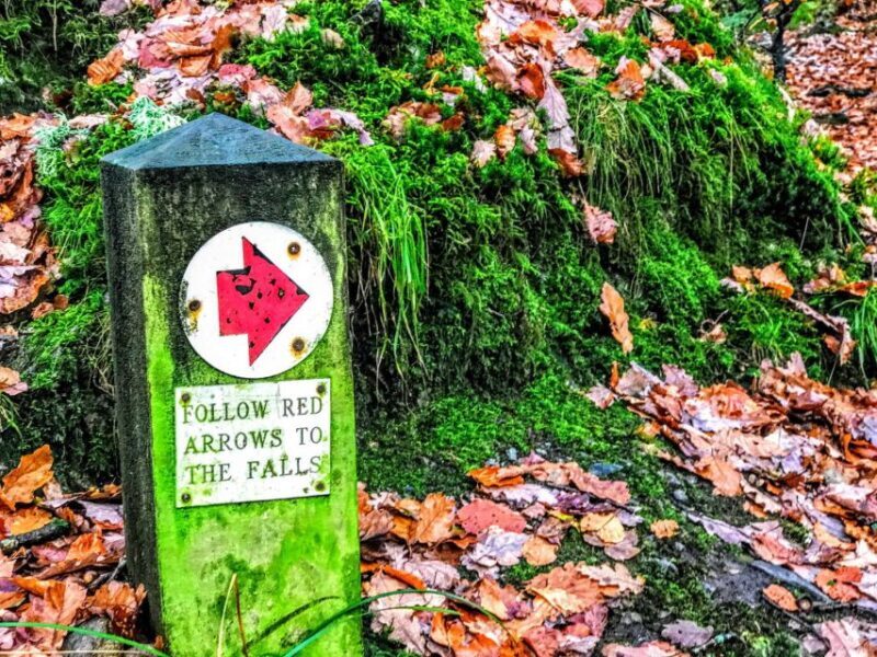 From Manchester: Lake District Sightseeing Day Trip - Who Should Consider This Tour?