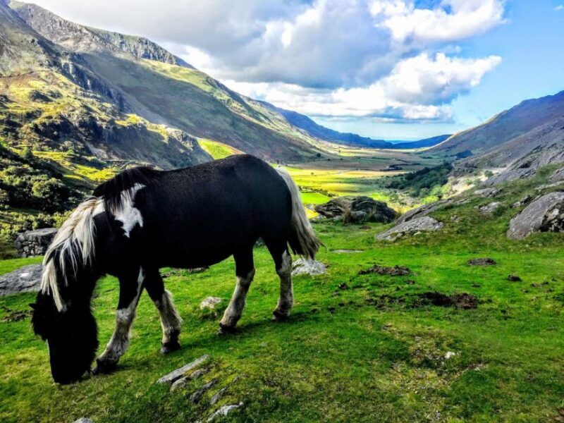 From Manchester: North Wales Sightseeing Adventure Day Trip - Final Thoughts: Is It Worth It?