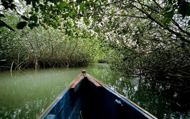 From Mancora: National Sanctuary of the Mangroves - Tumbes - Key Points