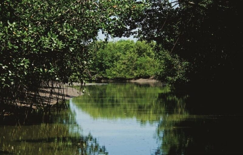 From Mancora: National Sanctuary of the Mangroves - Tumbes - FAQ