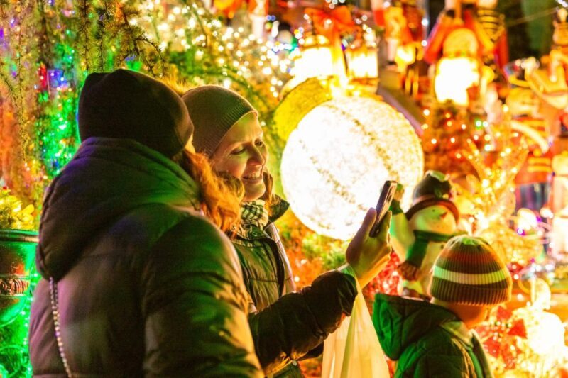 From Manhattan: 4-Hour Dyker Heights Holiday Lights Bus Tour - Who Will Love This?