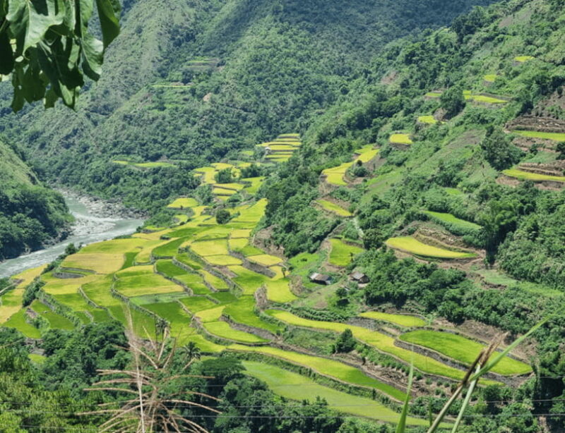 From Manila: 2-Day Buscalan Tour with Apo Whang-od - FAQ