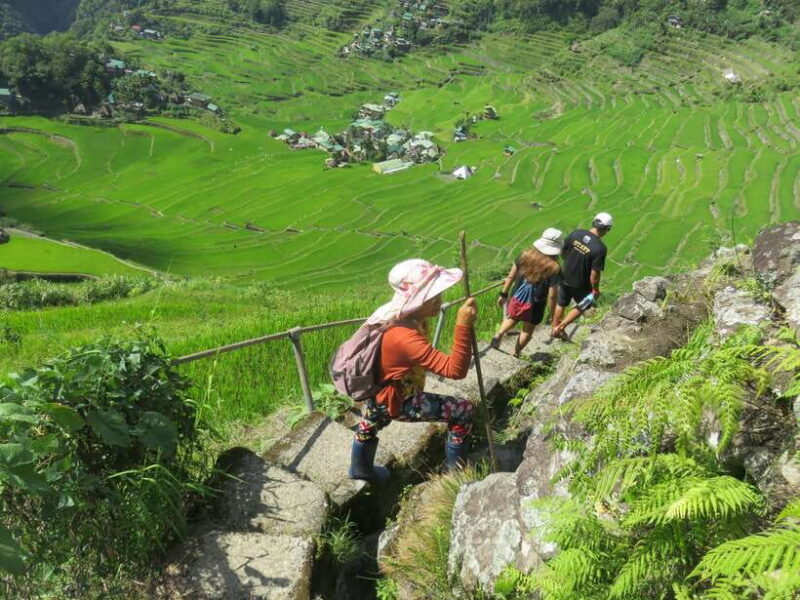 From Manila: 4-Day Sagada and Banaue Rice Terraces Tour - Final Day: Back to Manila