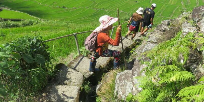 From Manila: 4-Day Sagada and Banaue Rice Terraces Tour - Who Should Consider This Tour?