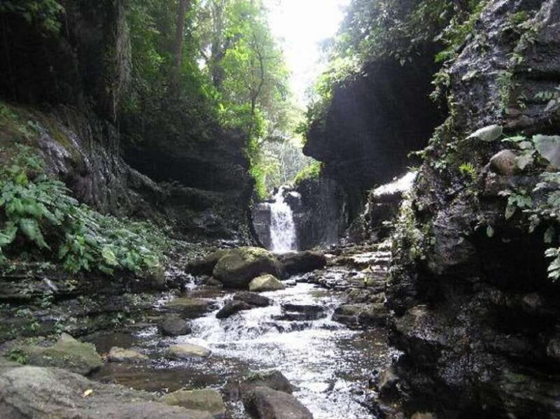 From Manila: Day Tour to Enchanting Hidden Valley - Exploring the Natural Beauty of Hidden Valley