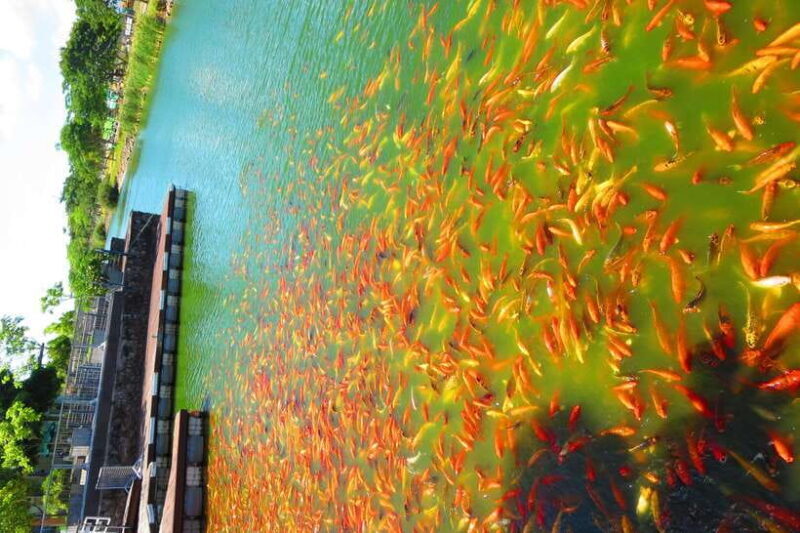 From Manila: Tagaytay Countryside Wonders: A Half-Day Tour - Frequently Asked Questions