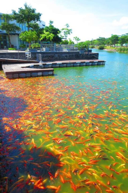 From Manila: Tagaytay Countryside Wonders: A Half-Day Tour - Final Thoughts