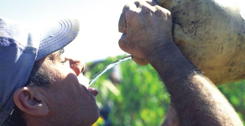From Marbella: Axarquia Wine Tour with Wine Pairing Lunch - Exploring the Axarquia Wine Tour: An In-Depth Look