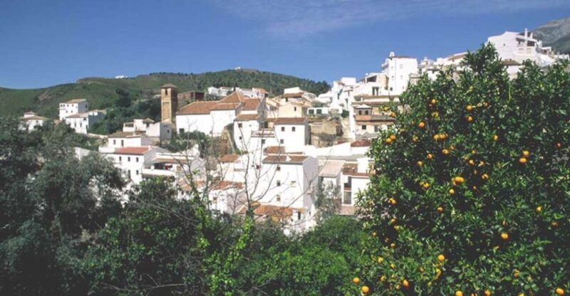From Marbella: Axarquia Wine Tour with Wine Pairing Lunch - FAQ
