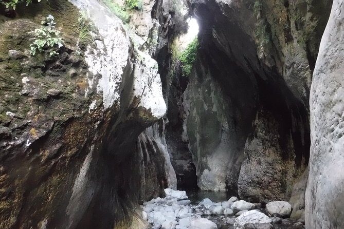From Marbella: Canyoning Tour in Guadalmina Canyon - Final Thoughts