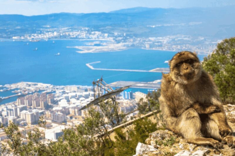 From Marbella: Gibraltar Private Day Trip with Local Guide - Key Points