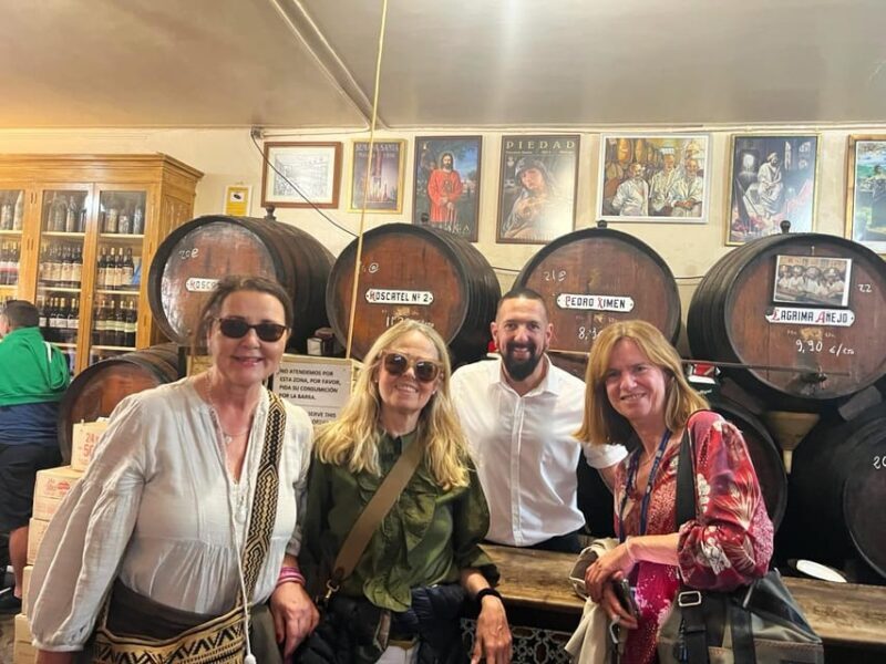 From Marbella: Malaga private Tour - Highlights of the Sites You’ll See