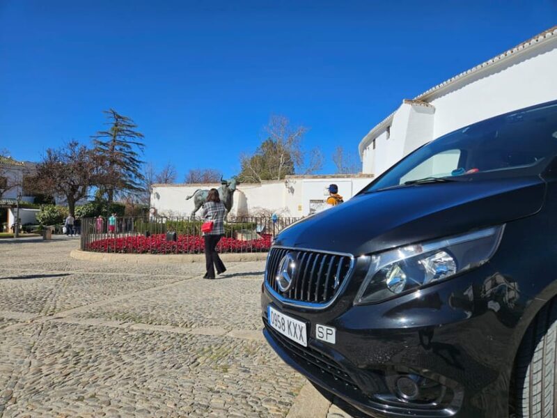 From Marbella: Ronda & Setenil de las Bodegas Private trip - The Sum Up