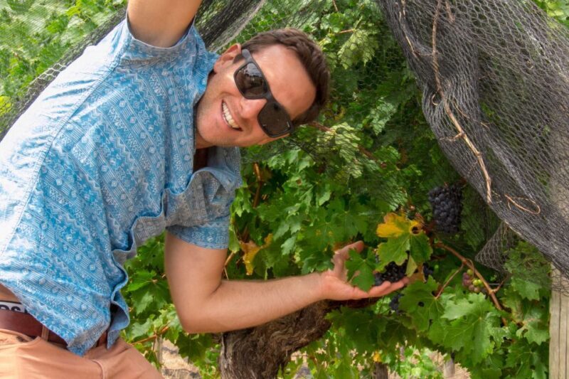 From Margaret River: Margaret River Wine Adventure - Experience the Best of Margaret River: A Wine and Beer Adventure