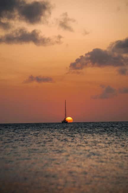 From Marina Smir: Boat Trip to the Mediterranean Sea - An Up-Close Look at the Experience