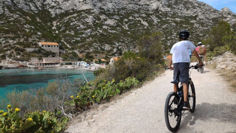 From Marseille: Calanques National Park E-Mountain Bike Tour - A Detailed Look at the Calanques National Park E-Mountain Bike Tour