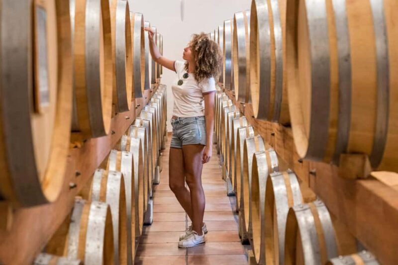 From Marseille Cruise Port : Avignon & Wine Tasting - From Marseille Cruise Port: Avignon & Wine Tasting – A Complete Guide