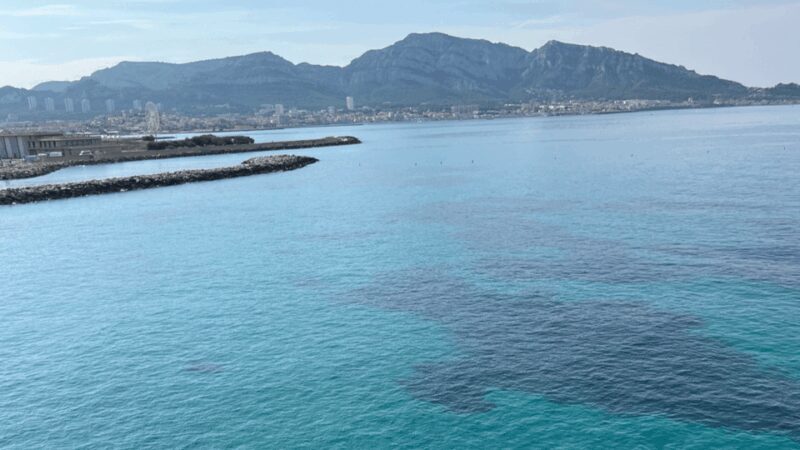 From Marseille to Cassis: a journey to the heart of the calanques and traditions. - What We Loved About This Tour
