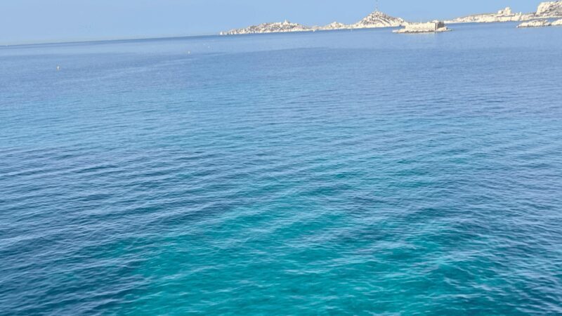 From Marseille to Cassis: a journey to the heart of the calanques and traditions. - Who Will Love This Tour?