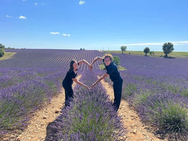 From Marseille: Valensole Lavenders Tour from Cruise Port - A Deep Dive into the Lavender Landscape