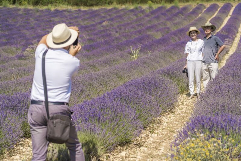 From Marseille: Valensole Lavenders Tour from Cruise Port - Possible Drawbacks to Consider