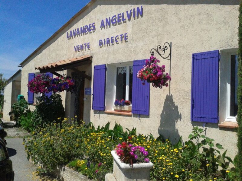 From Marseille: Valensole Lavenders Tour from Cruise Port - Who Would Love This Tour?