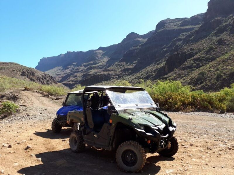 From Maspalomas: Volcanic Landscapes 4-Seater Buggy Tour - FAQ: Your Questions Answered