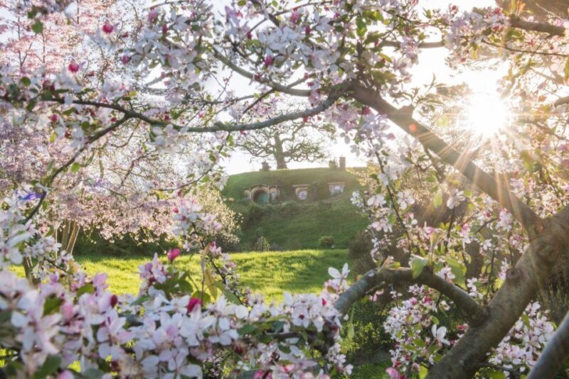 From Matamata: Guided Hobbiton Experience with Bus Transfers - Authenticity, Value, and the Overall Vibe