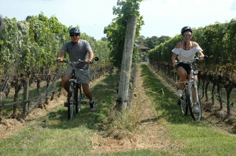 From Mattituck: North Fork Area Bike Tour with Food Tasting - Value and Practical Considerations