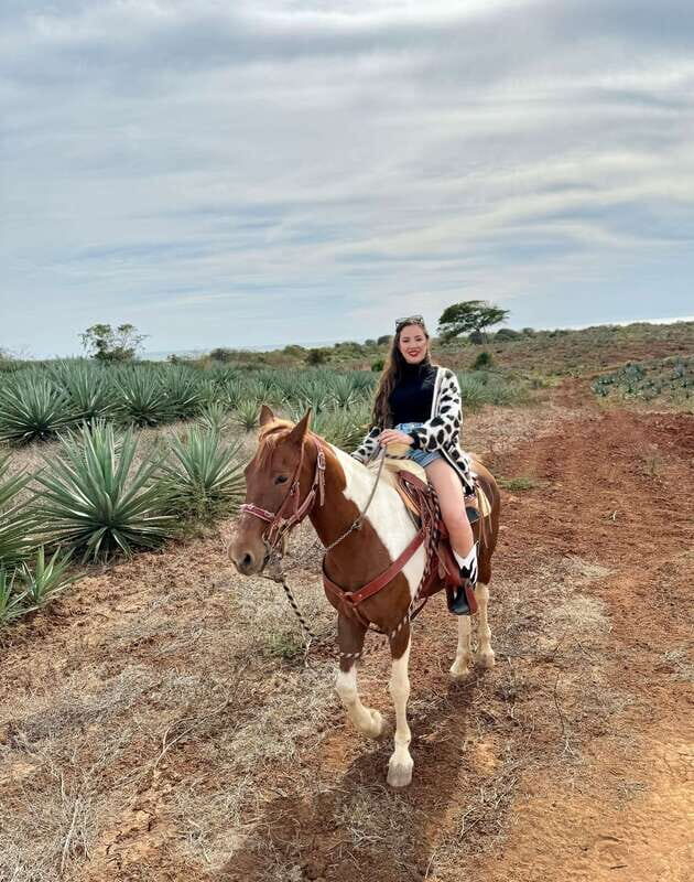 From Mazatlan: ATV & Horse Back riding with Tequila Tasting - From Mazatlan: ATV & Horse Back riding with Tequila Tasting — A Practical Guide to an Authentic Mexican Adventure