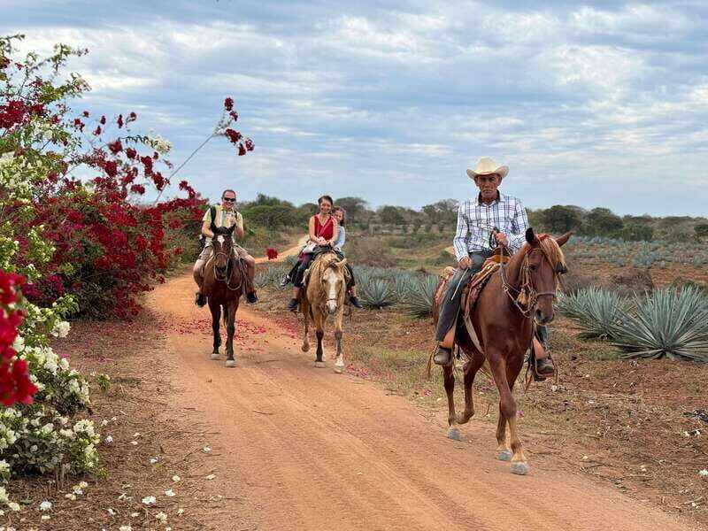 From Mazatlan: ATV & Horse Back riding with Tequila Tasting - Key Points