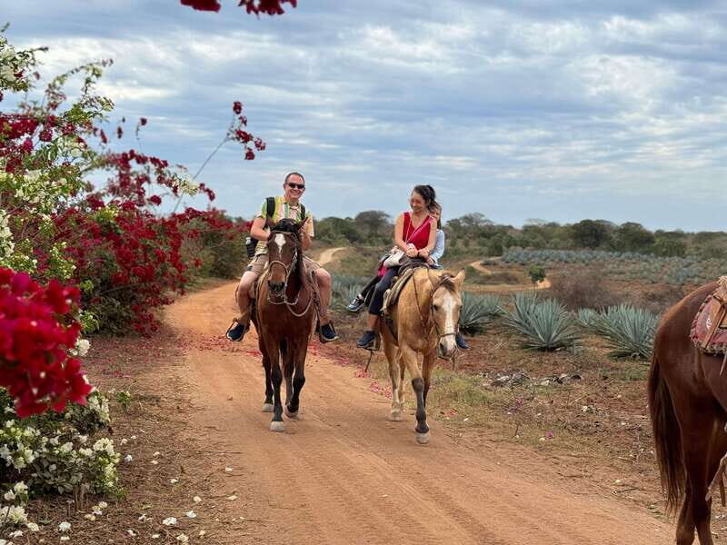 From Mazatlan: ATV & Horse Back riding with Tequila Tasting - Why This Tour Stands Out