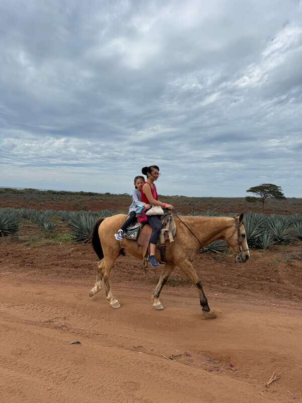 From Mazatlan: ATV & Horse Back riding with Tequila Tasting - In-Depth Breakdown of the Itinerary