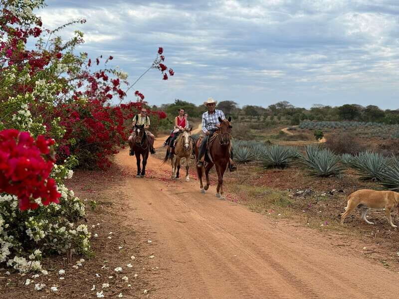 From Mazatlan: ATV & Horse Back riding with Tequila Tasting - Authenticity and Value
