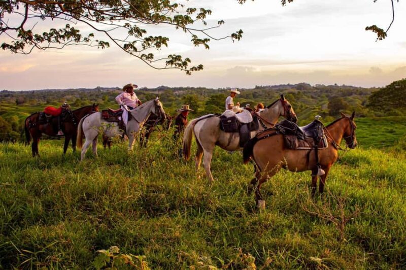 From Medellin; (All-In) The Real Horseback Ranch Experience - Key Points