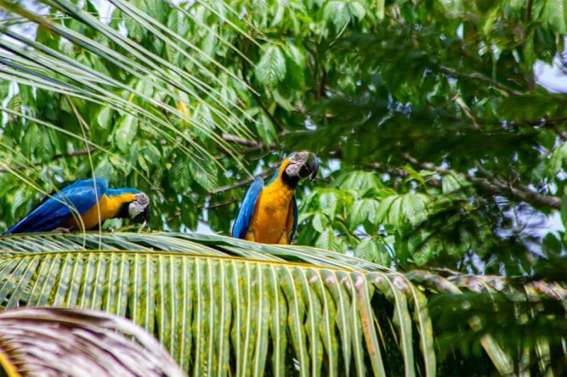 From Medellin; (All-In) The Real Horseback Ranch Experience - Setting the Scene: What’s the Experience All About?