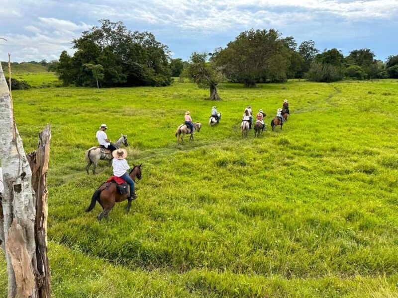 From Medellin; (All-In) The Real Horseback Ranch Experience - What Makes This Tour Stand Out?