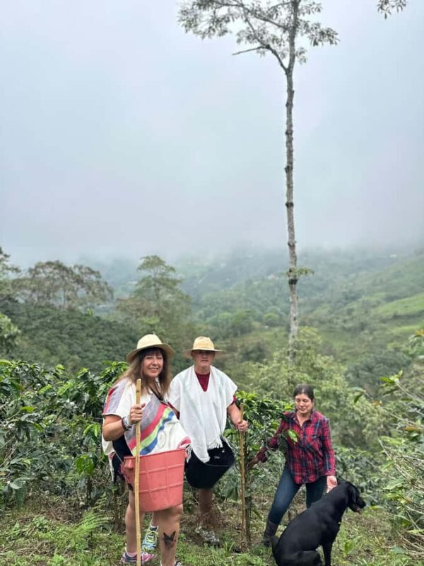 From Medellín: Coffee Farm Hiking & Exotic Fruit Marketplace - Detailed itinerary breakdown