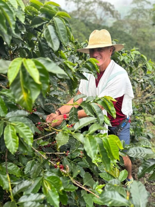 From Medellín: Coffee Farm Hiking & Exotic Fruit Marketplace - The Sum Up