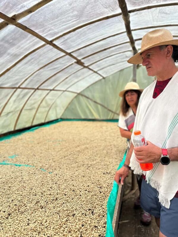 From Medellín: Coffee Farm Hiking & Exotic Fruit Marketplace - FAQ