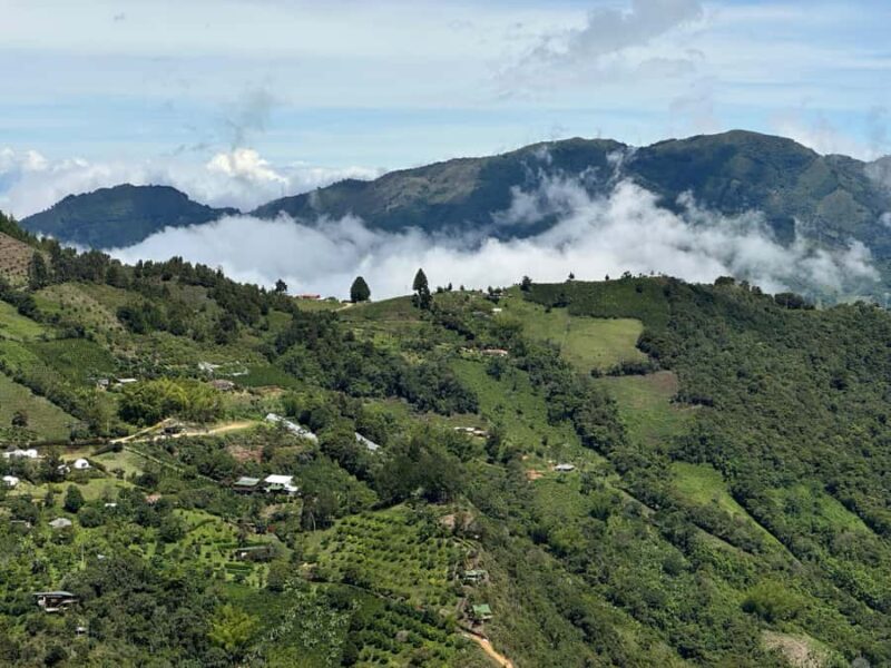 From Medellín: Coffee Tour and Zip Line in the Mountains - What’s Included and What’s Not
