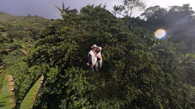 From Medellín: Coffee Tour and Zip Line in the Mountains - The Sum Up