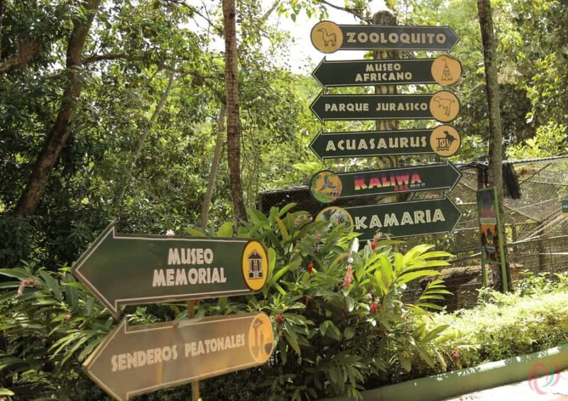 From Medellín: Day Trip to Hacienda Nápoles Theme Park - A Detailed Look at the Hacienda Nápoles Day Trip