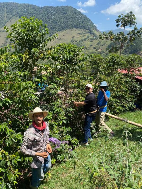 From Medellín: Jardín Coffee tour, optional Horseback Riding - Key Points