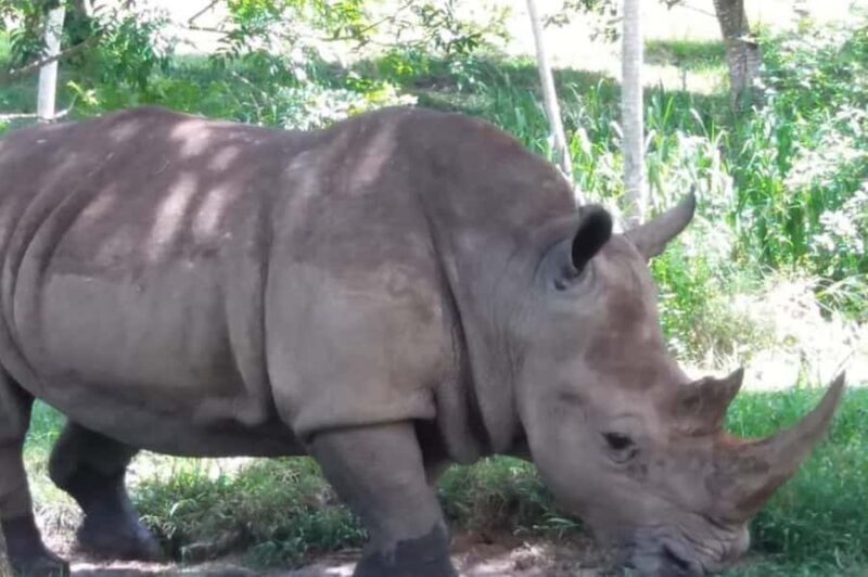 From Medellín: Pablo Escobars Hacienda Nápoles Private Tour - Key Points