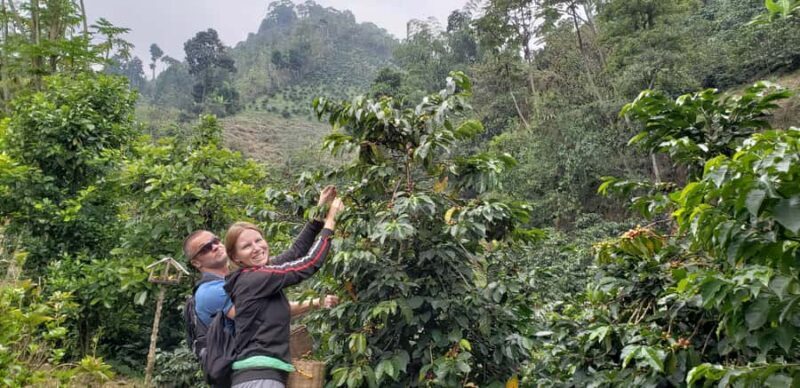 From Medellin: Private Envigado Coffee Tour with Tastings - A Closer Look at the Private Envigado Coffee Tour